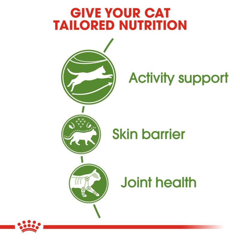 Royal Canin Active Life Outdoor Adult Cat Food - Targa Pet Shop