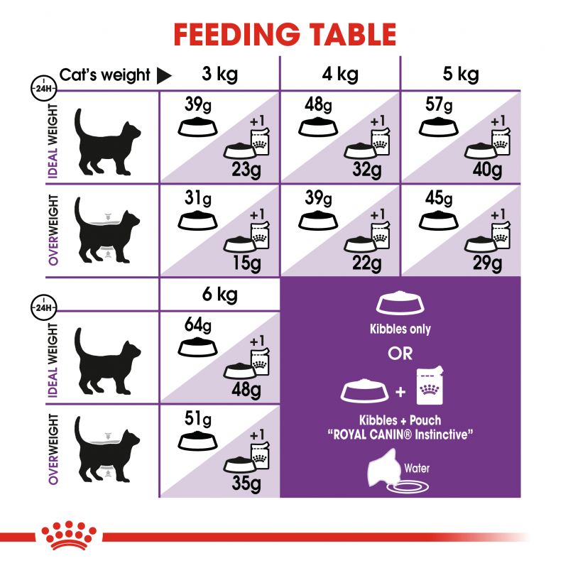 Royal Canin Regular Sensible 33 Adult Cat Food - Targa Pet Shop