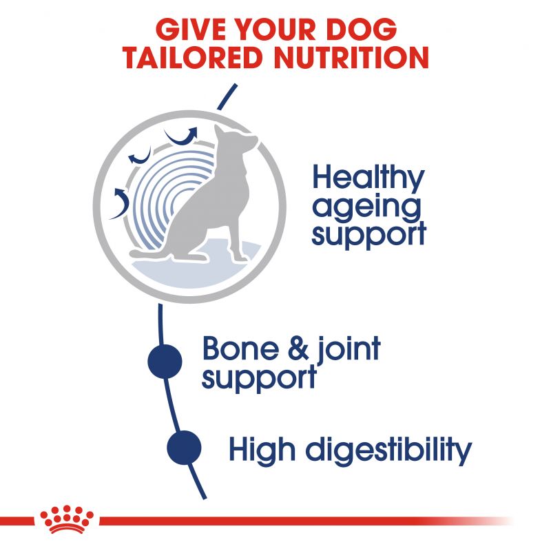 Royal Canin Maxi Ageing 8+ Wet Dog Food in Gravy - Targa Pet Shop