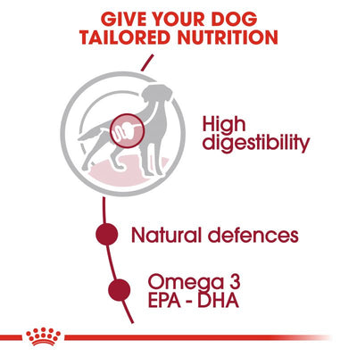 Royal Canin Medium Adult Wet Dog Food in Gravy - Targa Pet Shop