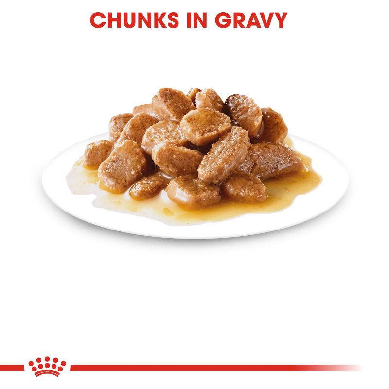 Royal Canin Mini Ageing 12+ Wet Dog Food in Gravy - Targa Pet Shop